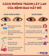 Tuyên truyền bệnh đau mắt đỏ